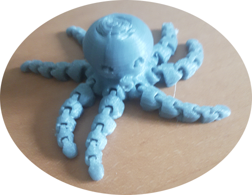 La photo du pouple imprimé en 3D